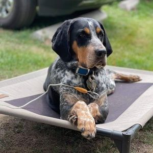 Meet your Posher, Jill